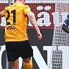7.2.2015  SG Dynamo Dresden - FC Rot-Weiss Erfurt  0-1_33